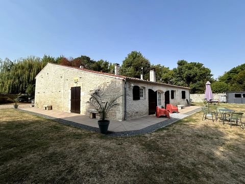 photo no. 2