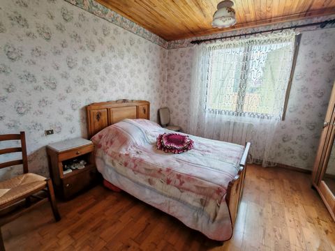photo no. 6