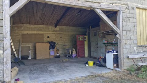 photo no. 13