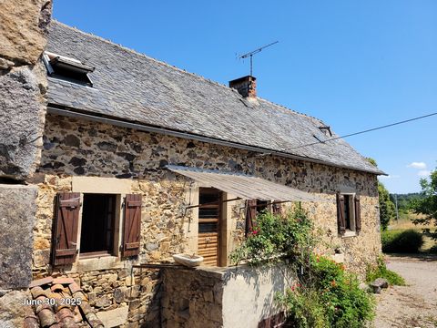photo no. 1