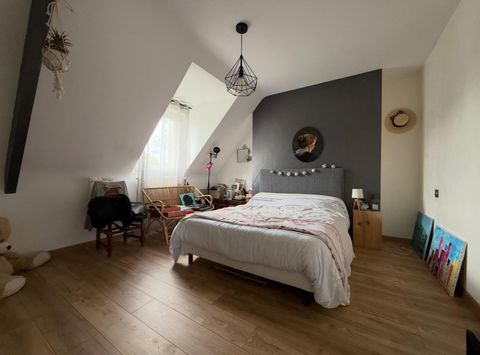 photo no. 10