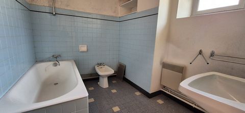 photo no. 12