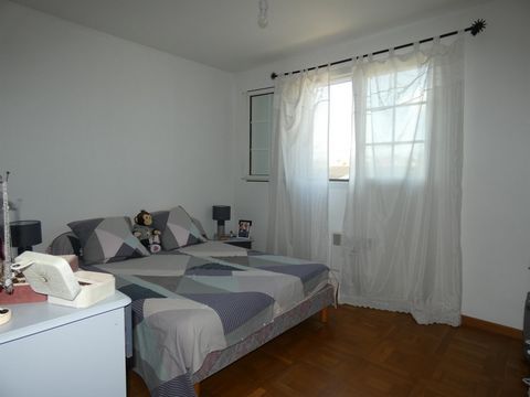 photo no. 12
