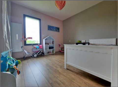 photo no. 10
