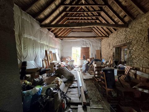 photo no. 9