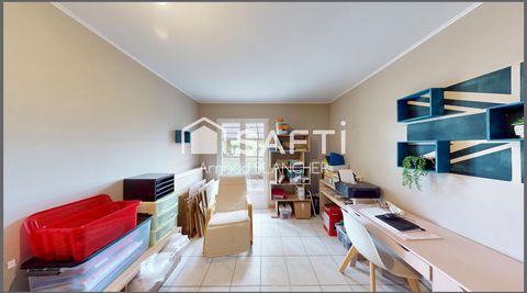 photo no. 12