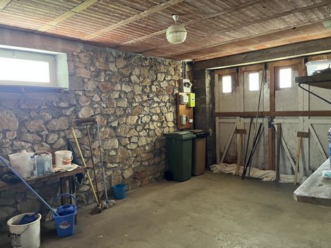 photo no. 17