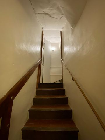 photo no. 7