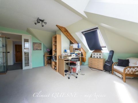 photo no. 11