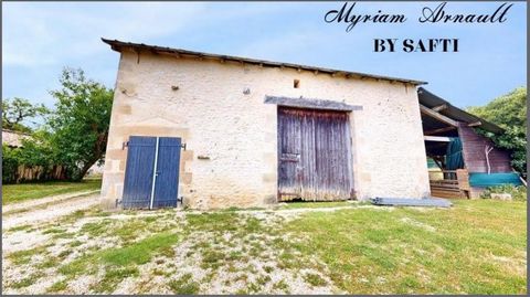 photo no. 5