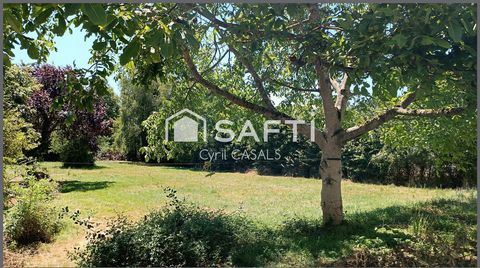 photo no. 13