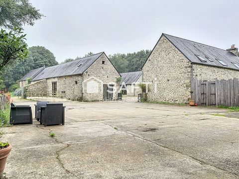 photo no. 15