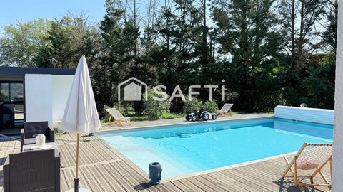 photo no. 13