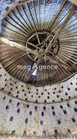 photo no. 16