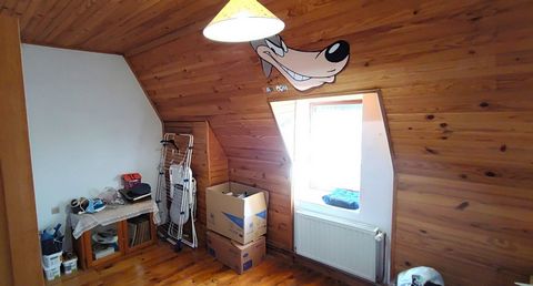 photo no. 11