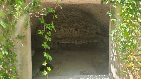 photo no. 7