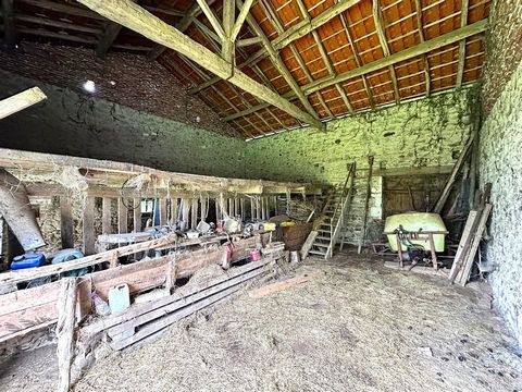 photo no. 3
