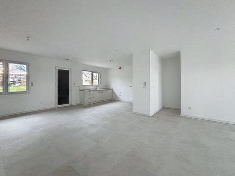 photo no. 2