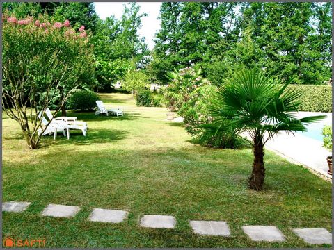 photo no. 11