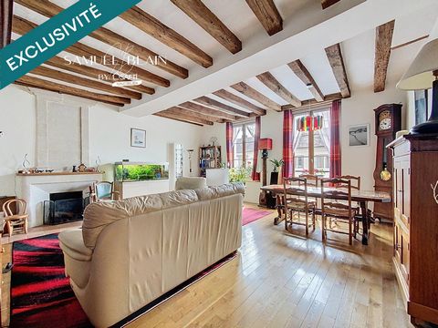 Maison de ville 125 M2 + grenier aménagéable et jardin clos.