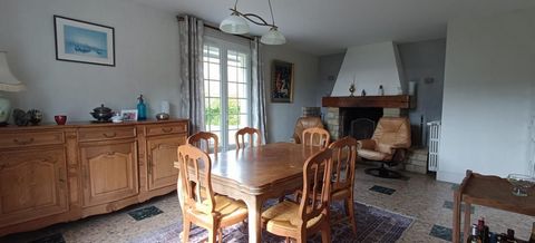 photo no. 6