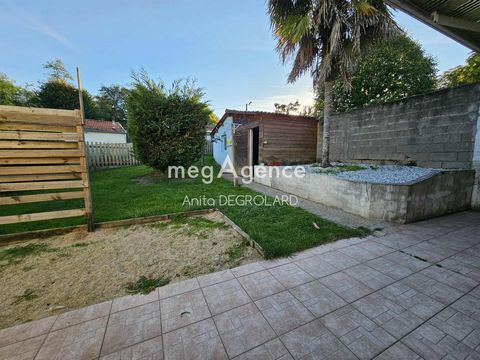 photo no. 11