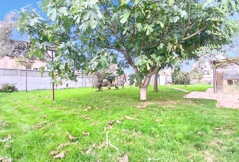 photo no. 13