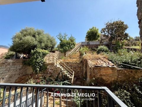 photo no. 10