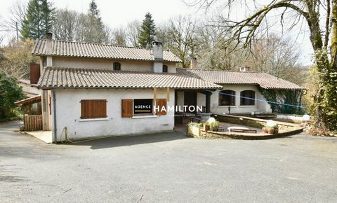photo no. 16