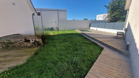 photo no. 12