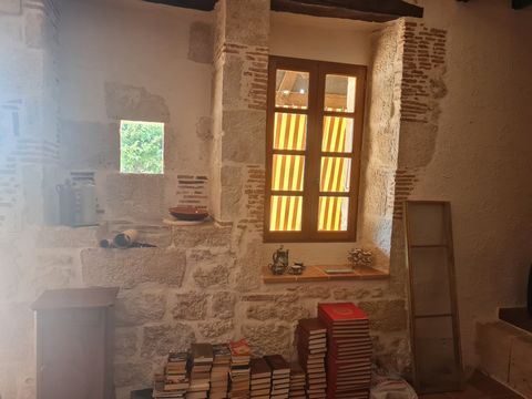 photo no. 13