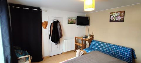 photo no. 8