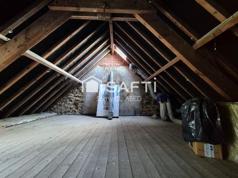photo no. 11