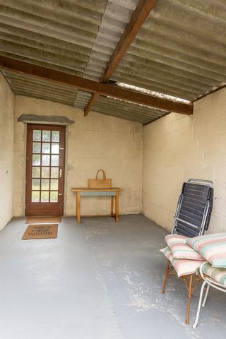 photo no. 8