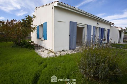 photo no. 12