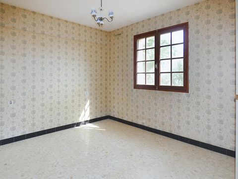 photo no. 7