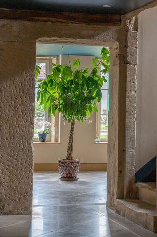 photo no. 14