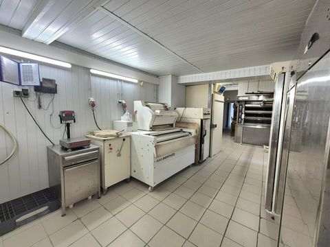 photo no. 4