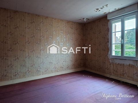 photo no. 8