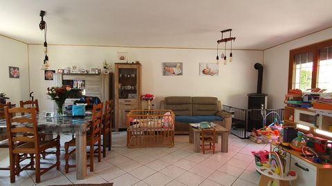 photo no. 6