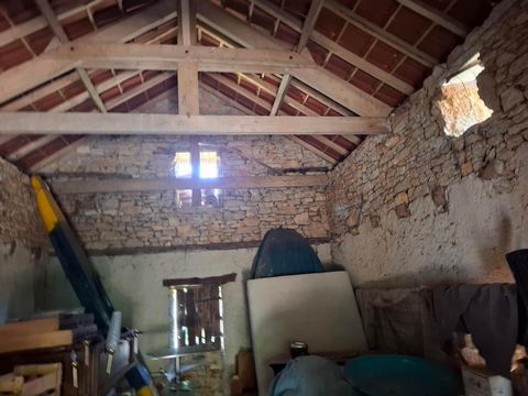 photo no. 16