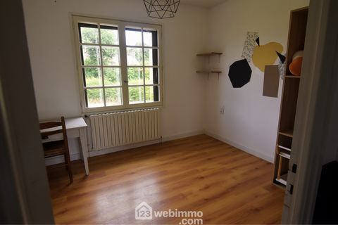 photo no. 11