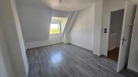 photo no. 6