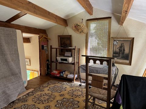 photo no. 12