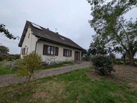 photo no. 11