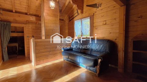photo no. 13