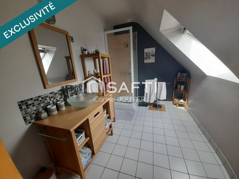 photo no. 11