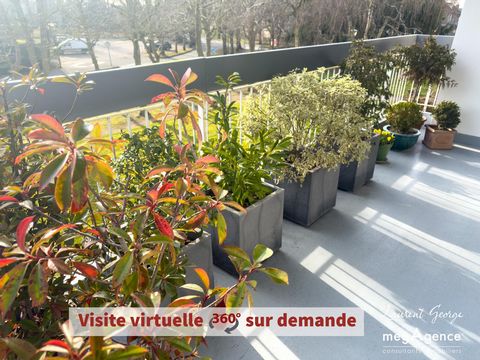 photo no. 12