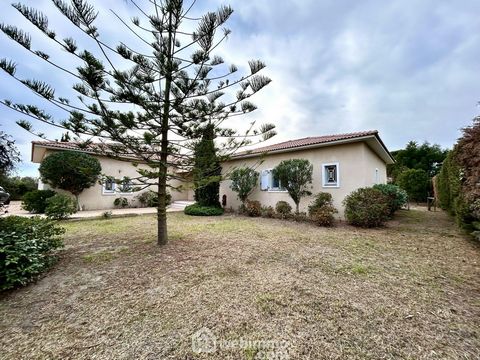Maison - 206m² - Lucciana