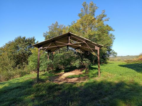 photo no. 6